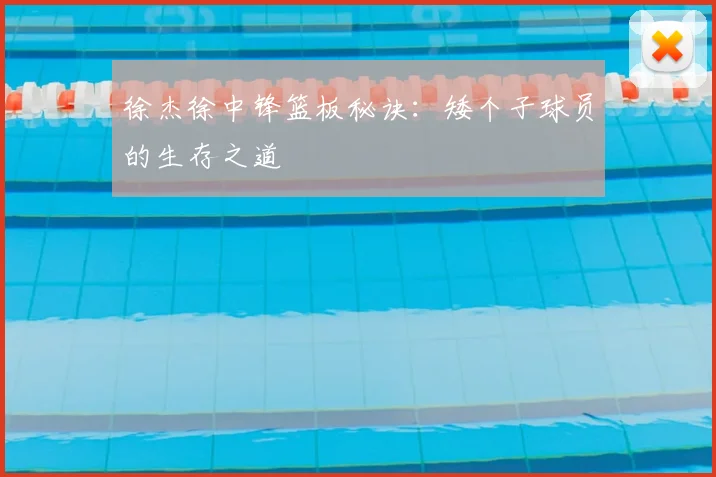徐杰徐中锋篮板秘诀：矮个子球员的生存之道