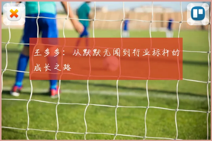 王多多：从默默无闻到行业标杆的成长之路