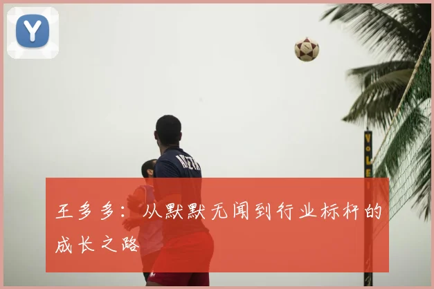 王多多：从默默无闻到行业标杆的成长之路